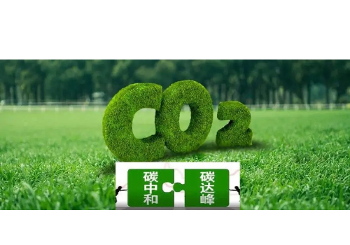 中国“贡嘎”首获全球碳计划认证